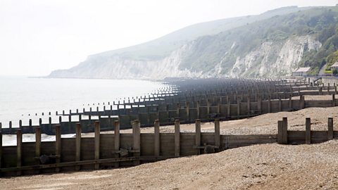 <table style="min-width: 218px"><colgroup><col style="width: 193px"><col style="min-width: 25px"></colgroup><tbody><tr><td colspan="1" rowspan="1" colwidth="193" style="box-sizing: border-box; border: 1px solid rgba(0, 0, 0, 0.1); min-width: 100px; padding: 8px; position: relative; text-align: left; vertical-align: top; margin-top: 0px;"><p><strong>Features</strong></p></td><td colspan="1" rowspan="1" style="box-sizing: border-box; border: 1px solid rgba(0, 0, 0, 0.1); min-width: 100px; padding: 8px; position: relative; text-align: left; vertical-align: top;"><p><strong>Prevent Erosion</strong></p></td></tr><tr><td colspan="1" rowspan="1" colwidth="193" style="box-sizing: border-box; border: 1px solid rgba(0, 0, 0, 0.1); min-width: 100px; padding: 8px; position: relative; text-align: left; vertical-align: top; margin-top: 0px;"><p>Barriers built perpendicular to shore at regular intervals along beach → trap sand moving down beach due to longshore drift</p></td><td colspan="1" rowspan="1" style="box-sizing: border-box; border: 1px solid rgba(0, 0, 0, 0.1); min-width: 100px; padding: 8px; position: relative; text-align: left; vertical-align: top;"><p>help build up beach → trapping sediment → acts as buffer against wave energy → protects coastline from erosion </p></td></tr></tbody></table><p></p>