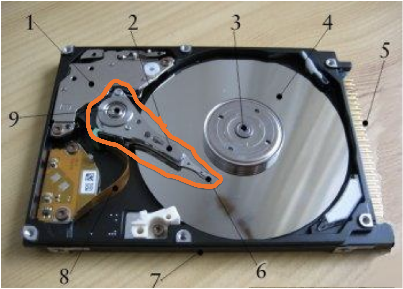 knowt flashcard image