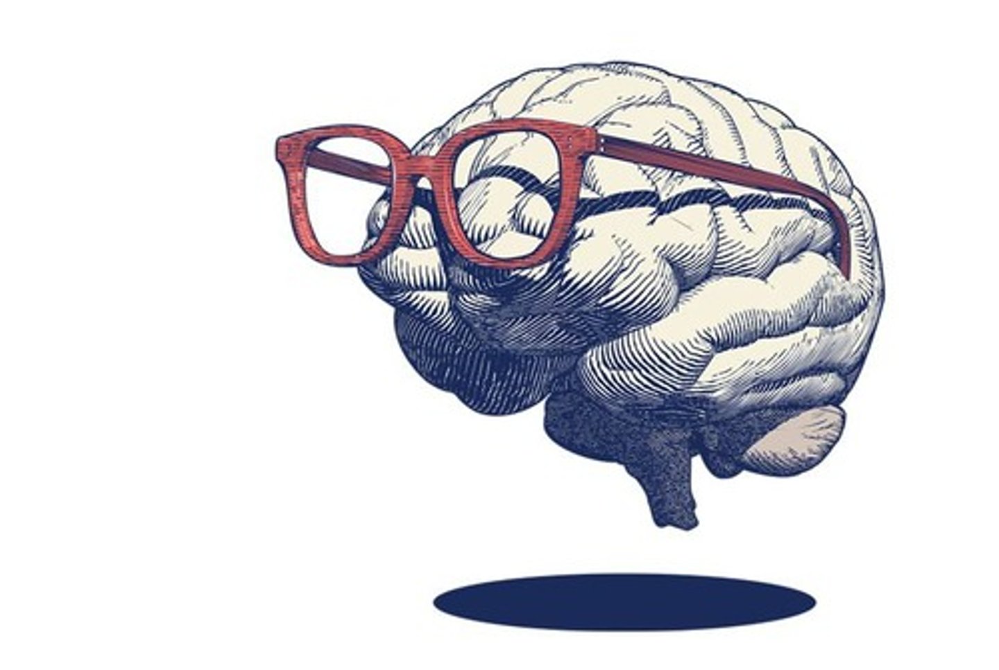 <p>Mental activities related to thinking.</p>