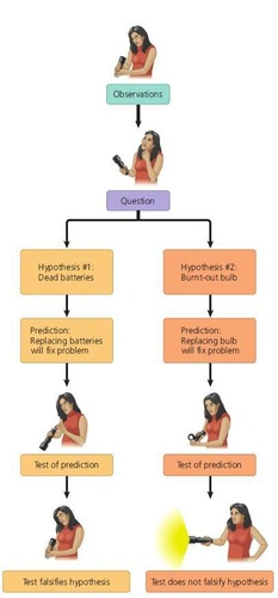 <p>Discovery, testing of hypotheses, and repeatability of observations and experiments.</p>