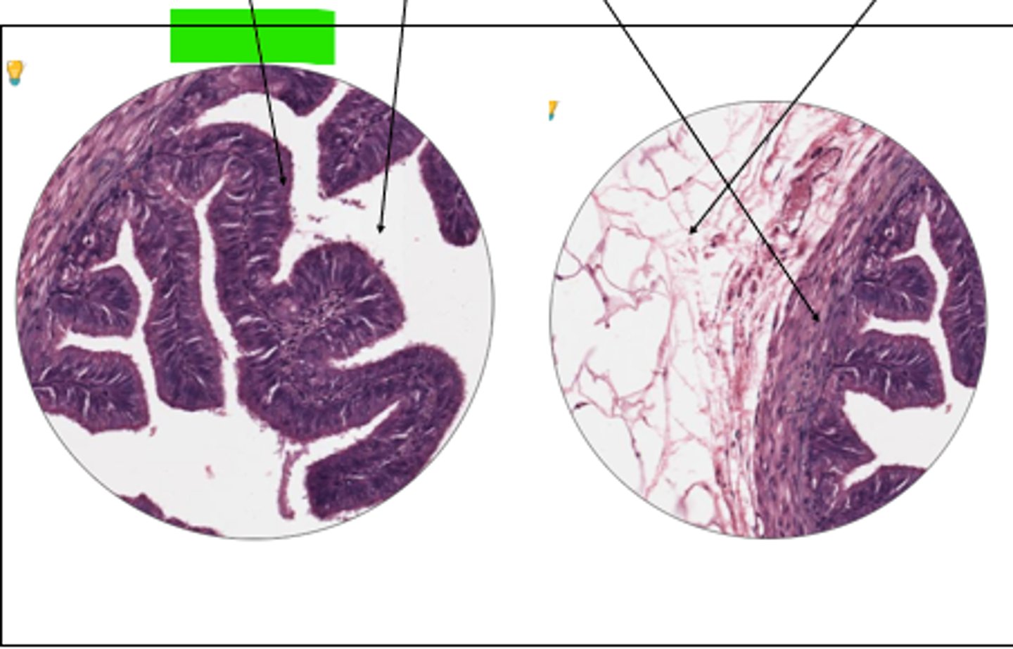 <p>part of structure and structure?</p>