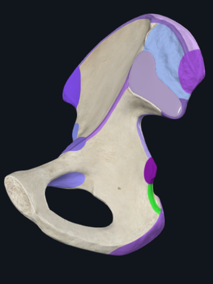 <p>What is highlighted green</p>