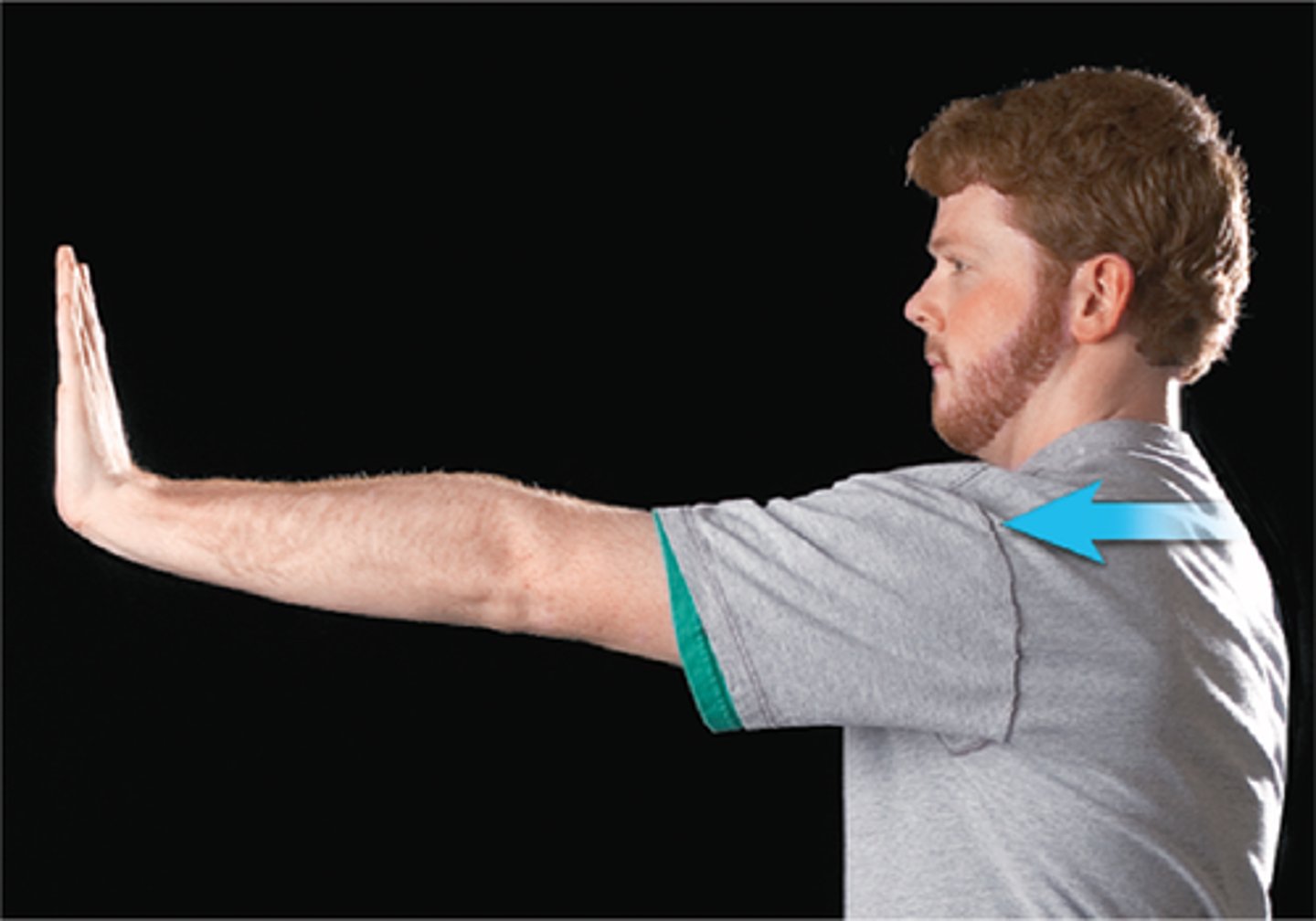 <p>anterior movement</p>