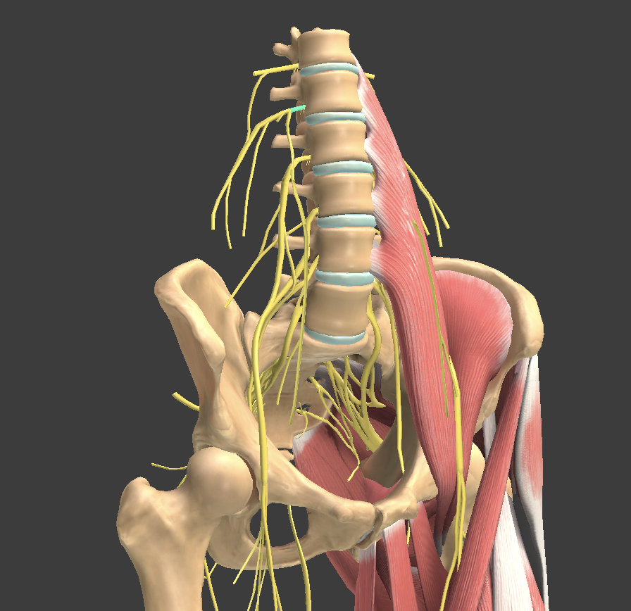 <p>What structure is shown?</p>