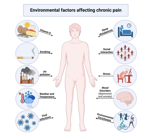 <p>what should be asked about for clinical implications-environment?</p>