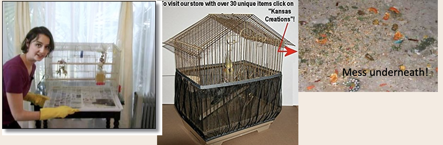 <p>Can be as simple as pulling out the tray and changing the paper and wiping down bars/surfaces (The area under the cage will get its share of discarded bits of food, water and bird droppings as well. )</p>