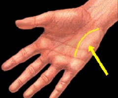 <p><span>relating to the part of the palm under the little finger.</span></p>