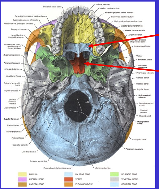 <p>What is the bottom arrow?</p>