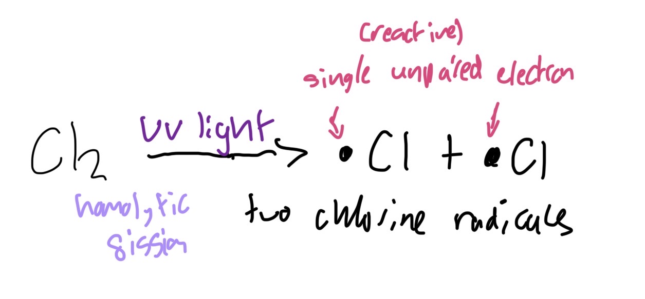 <p>Halogen molecule (uv light)→ radicals</p>