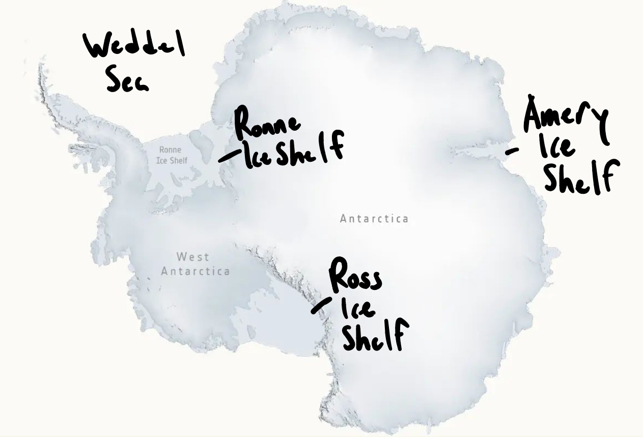 <p>Ross Ice Shelf</p><p>Ronne Ice Shelf</p><p>Amery Ice Shelf</p>