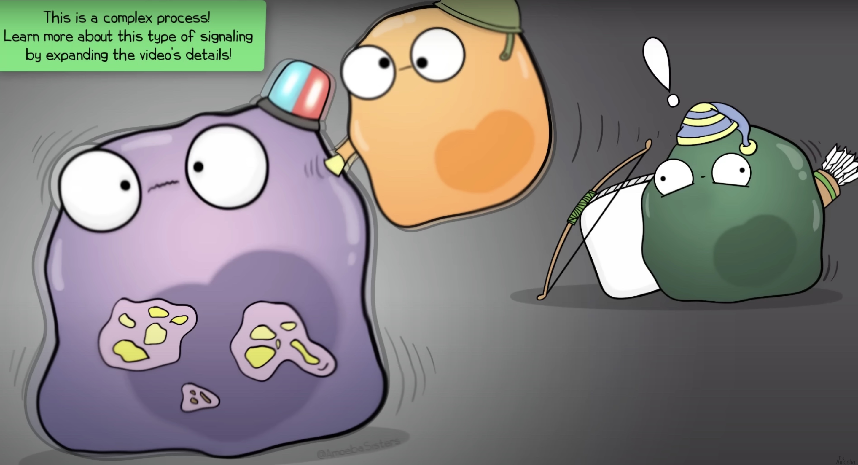<p><span style="color: green"><strong>activate</strong></span><span style="color: blue"><strong> Cytotoxic ( Killer ) T Cells</strong></span></p>