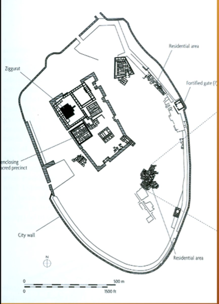 <p>Its orthogonal coordinates established an obvious contrast between order and disorder.</p>
