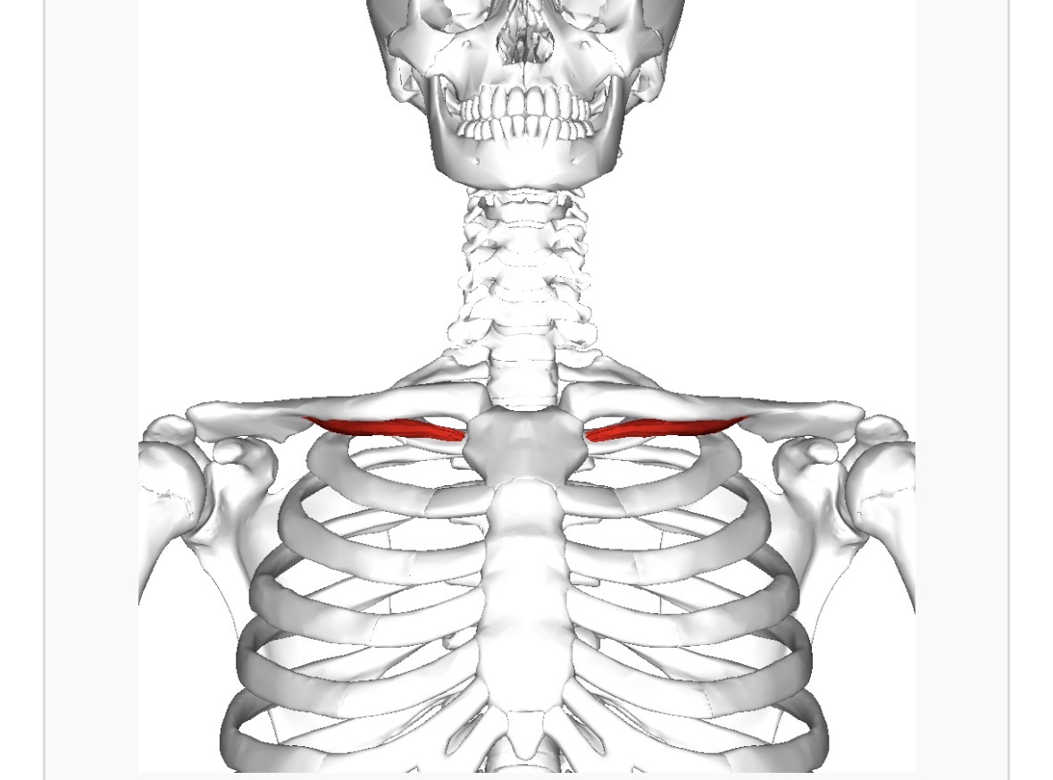 <p>Under clavicle</p>