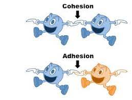 <p>different molecules attract each other.</p>