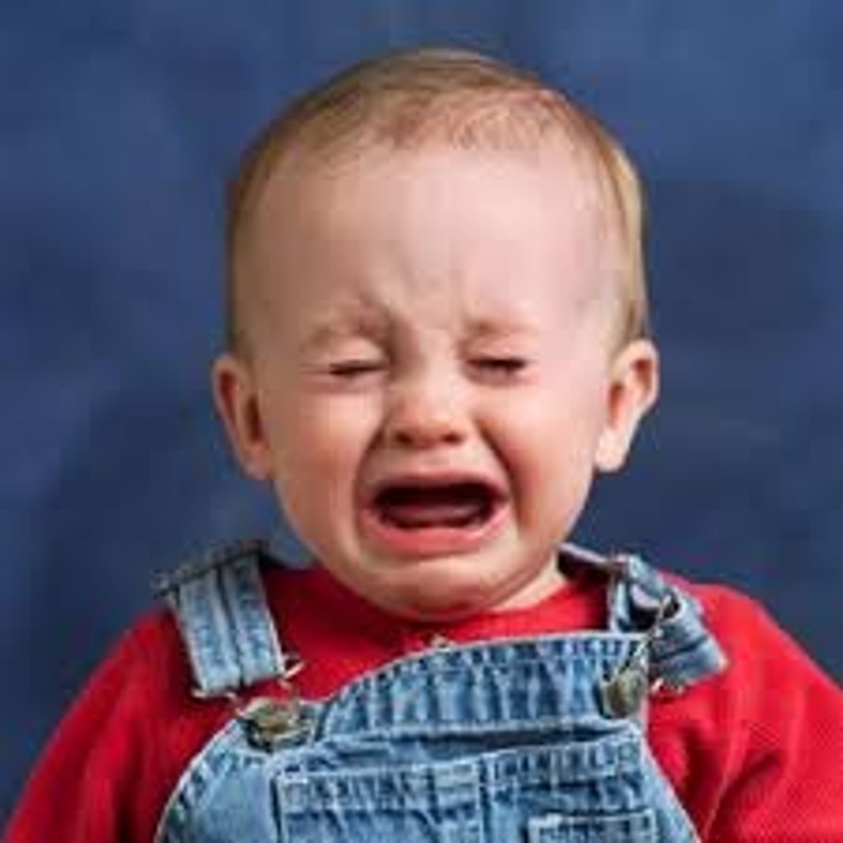 <p>Physical, behavioral, and psychological responses to stressors</p>