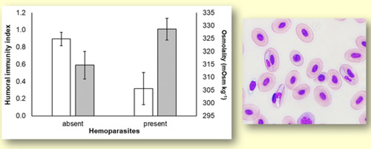 <p>vary in their infection of intracellular protists</p><p>- infected snakes had reduced immune function and increased dehydration</p>