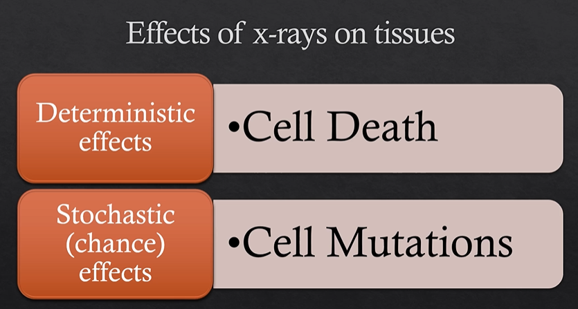<p>dependent on cell mutations </p>