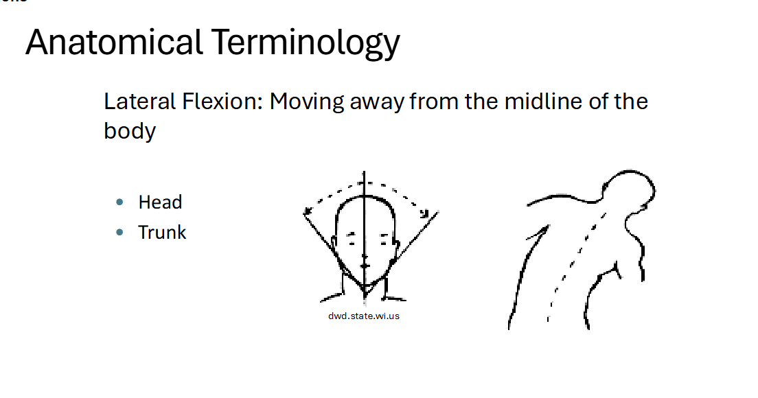 <p><strong>Moving away from the midline of the body</strong></p><ul><li><p>head &amp; trunk</p></li></ul><p></p>