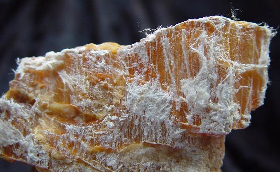 <p>What is this mineral?</p>
