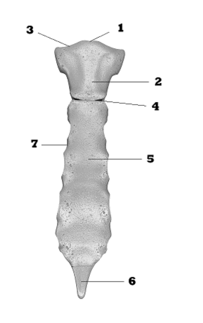 <p>1</p>