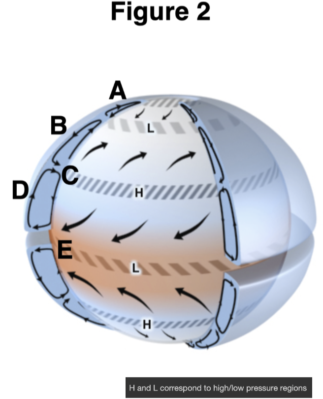 <p>Which label corresponds to the Polar cell?</p>