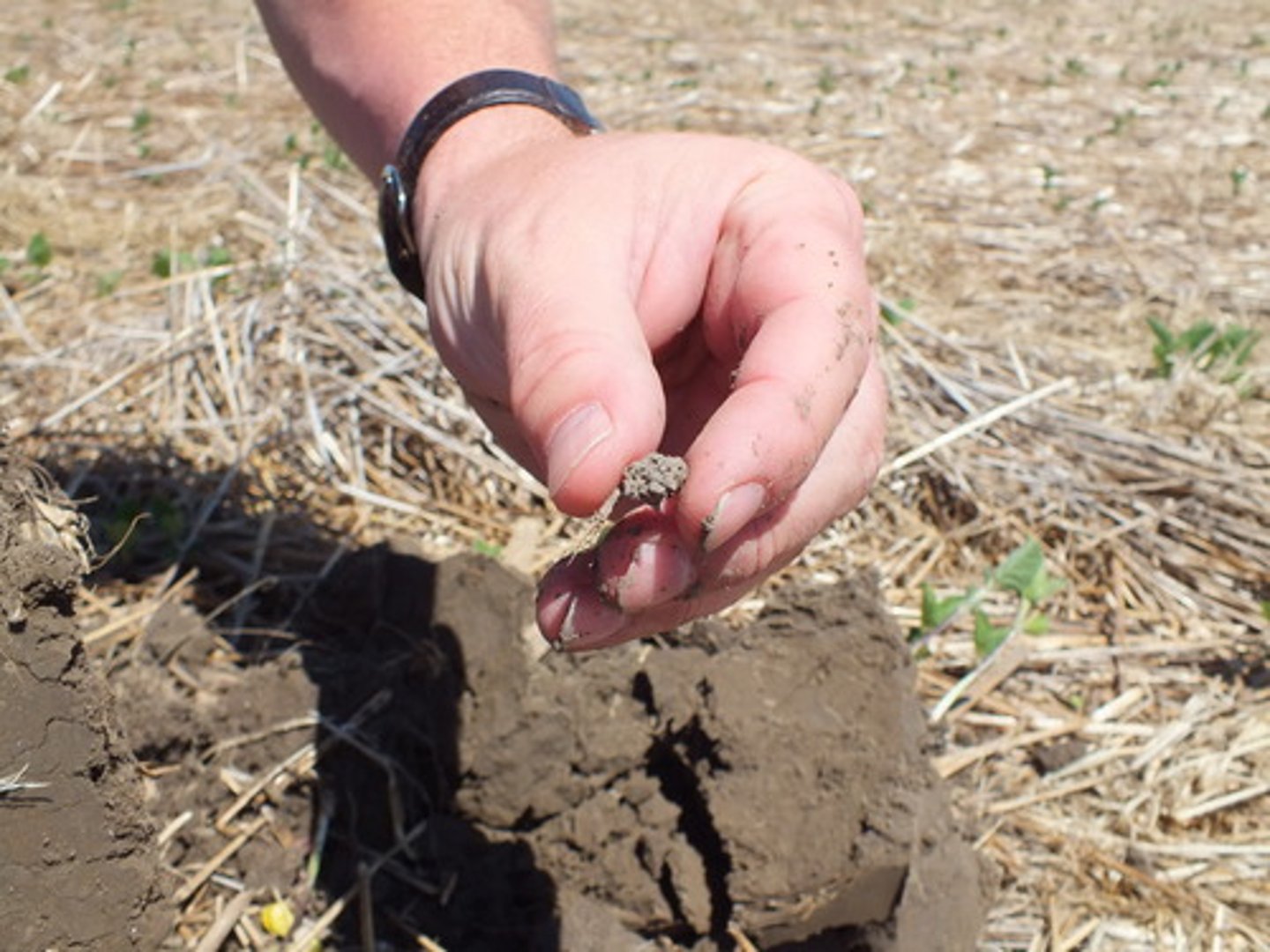 <p>Smallest classfied particles of soil. Material that is plastic (moldable) when wet, consisting mostly of hydrated silicates of aluminum</p>