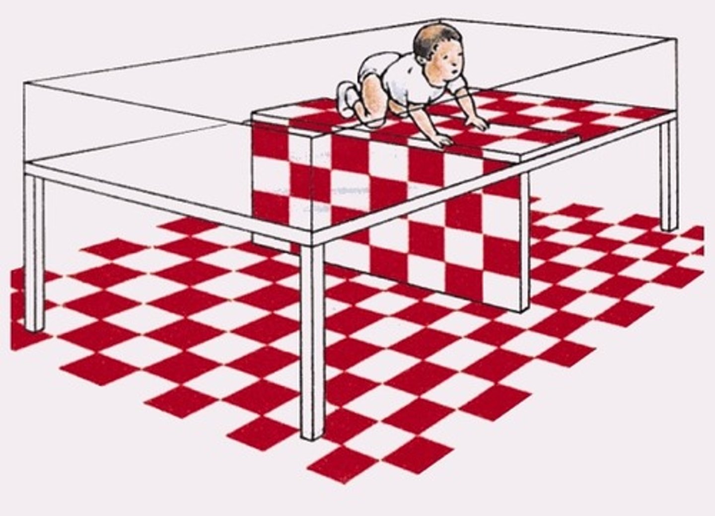 <p>a laboratory test of depth perception for infants and young animals</p>