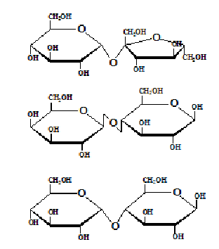 <p class="MsoNormal">Disaccharide</p>