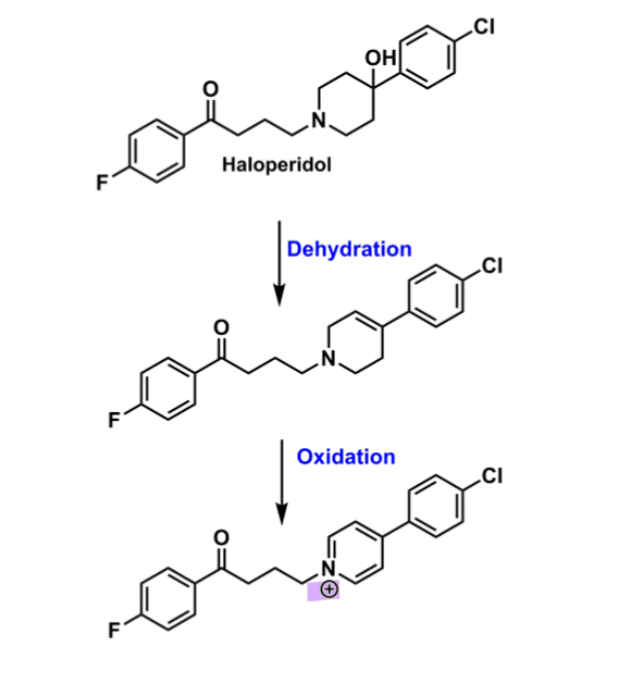 <ul><li><p>Can produce an aromatic leading to a positive charge on the N of piperidine ring via dehydration + oxidation&nbsp;</p><ul><li><p>positive charge can is a toxic metabolite of DA producing cells in brain&nbsp;</p></li><li><p>= neurotoxic&nbsp;</p></li></ul></li></ul><p></p>