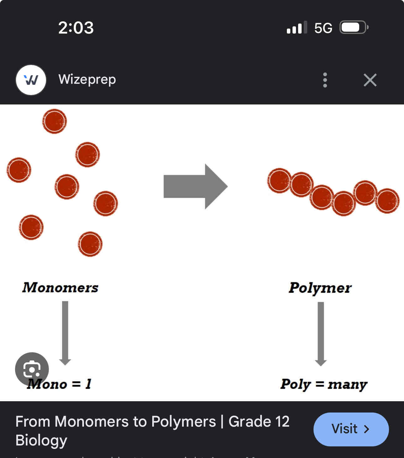 <p>Carbs, protein and fats are all polymers made up as several repeating units called monomers -monomers are simple building blocks of longer chain polymers</p>