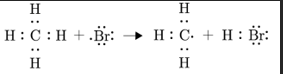 <ul><li><p>Series of rxn between radicals to produce non-radicals to produce different non-radicals and free radicals </p></li><li><p><span>the number of free radicals stays the same</span></p></li></ul><p></p>