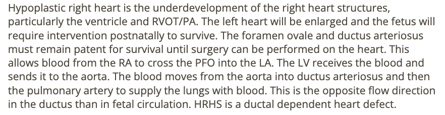 <p>d) hypoplastic right heart syndrome</p>