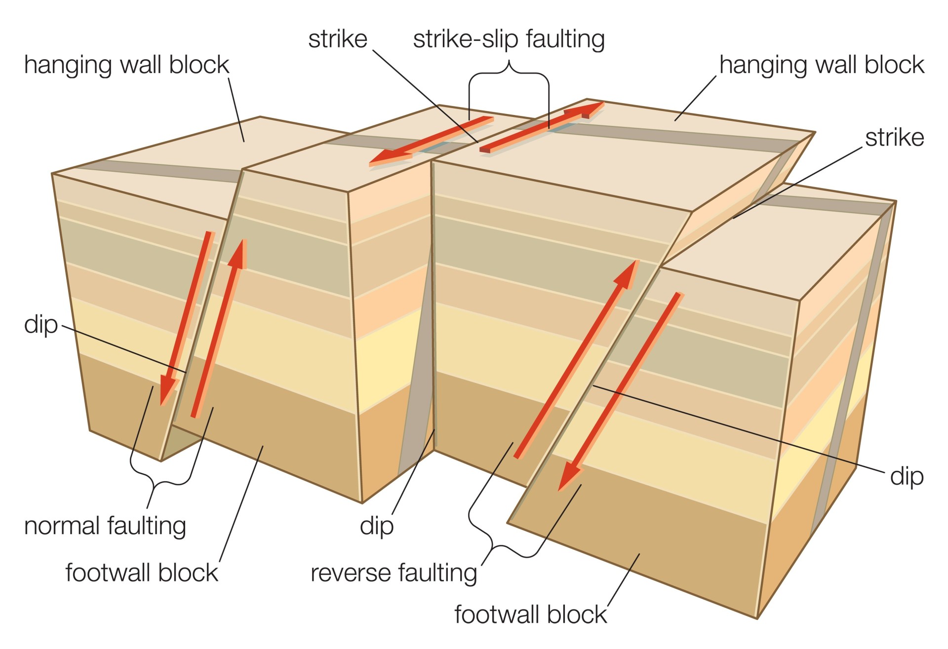 <ul><li><p>Normal</p></li><li><p>reverse</p></li><li><p>strike-slip</p></li></ul>