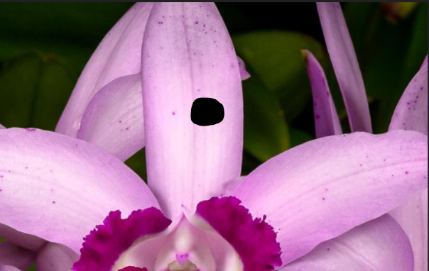 <p>single large spot of color in the center of another</p>