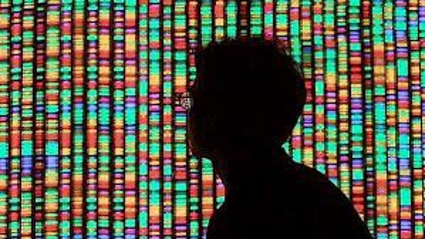 <p>when an "invalid" pretends to be a "valid" ( in GATTACA society) by using their DNA which is shaped like a ladder</p>