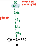 <p>A basic polar amino acid with an amino group in its side chain.</p>