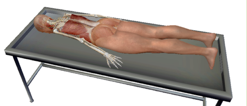 <p>what position this this?</p>