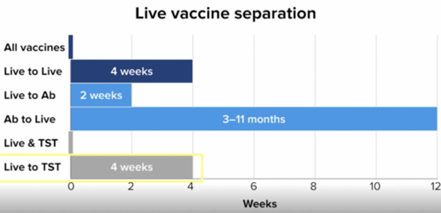 <p>Live to live: 4 weeks</p><p>Live to antibody: 2 weeks</p><p>Antibody to live: 3-11 months</p><p>Live to TST (TB skin test): 4 weeks</p>