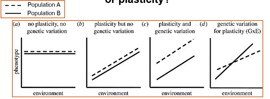 <p>genetic variation vs plasticity</p>
