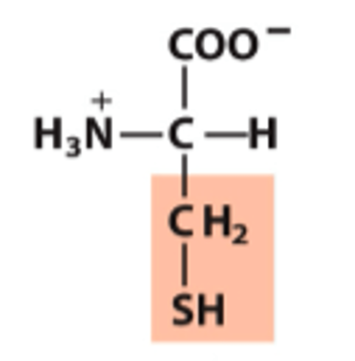 <p>What amino acid is this?</p>