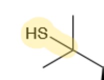 <p>C - SH</p>