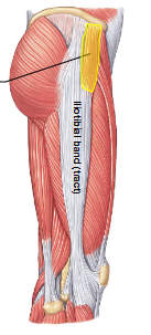 <p>What is this?</p>