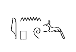 term image