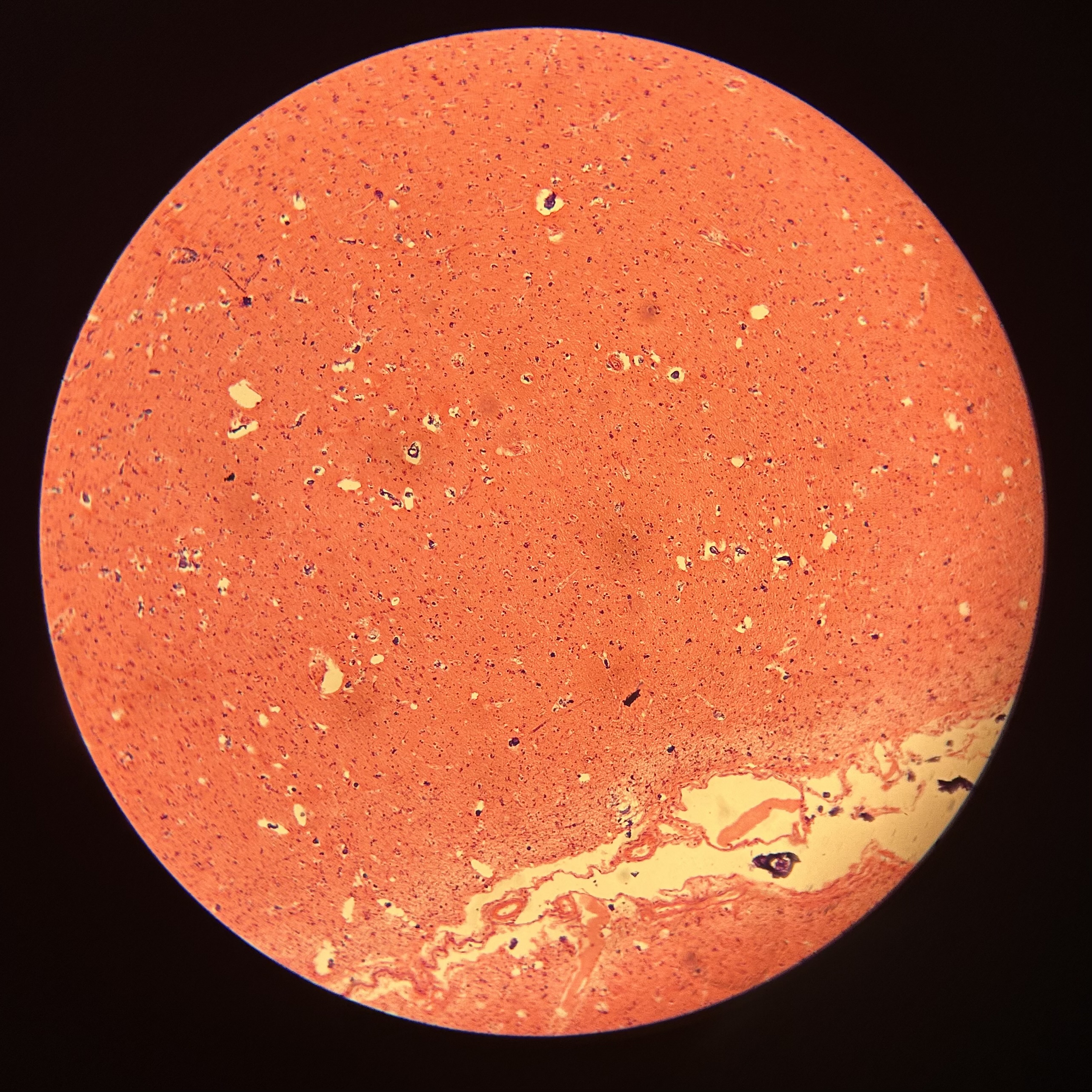 <p>What location is shown?</p>