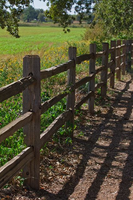 <p>fence</p>