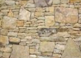 <ul><li><p>rough stones piled on each other</p></li><li><p>smaller blocks put between larger ones)</p></li></ul><p></p>