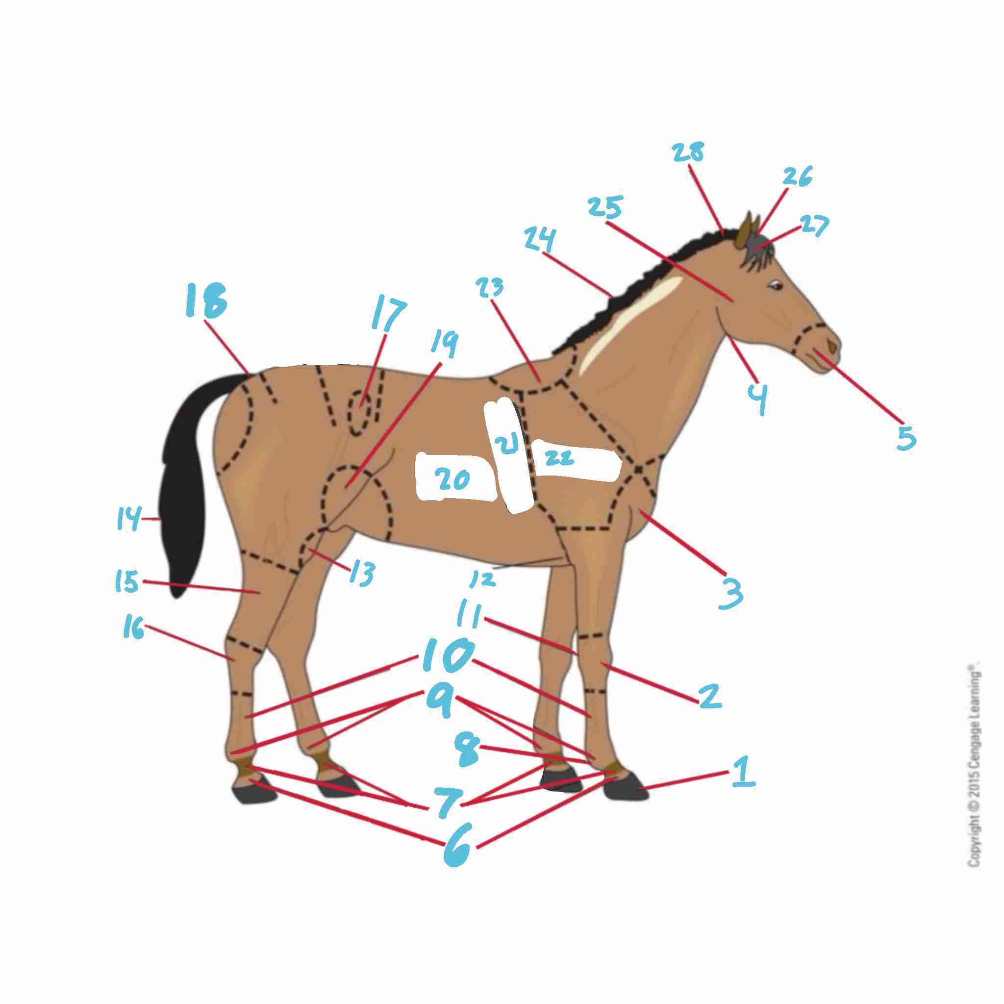 <p>What's number 25?</p>