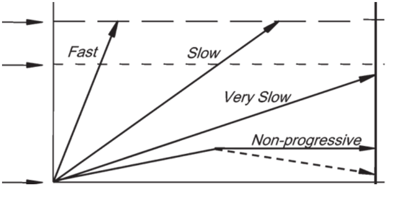 <p>which arrow leads to morbidity during a person’s lifetime? </p>