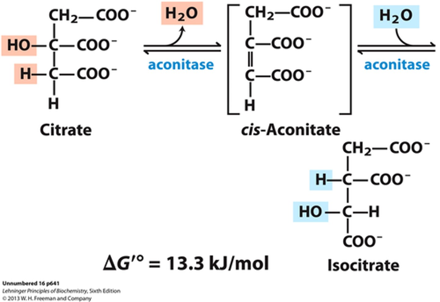 <p>Aconitase isomerizes citrate to isocitrate (C-OH bond moved)</p><p>Enzyme: aconitase</p><p>∆G= 0/+</p><p>Aconitate is intermediate between these 2</p>