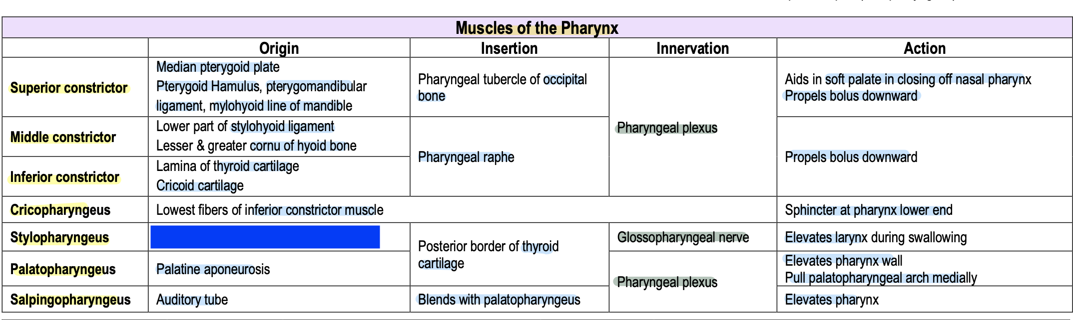 knowt flashcard image